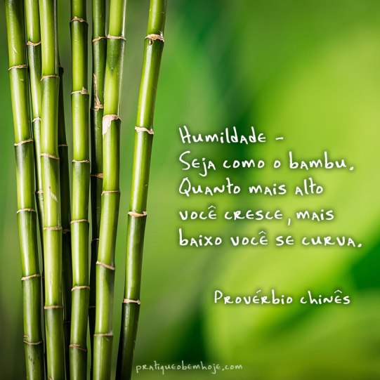 Seja como o bambu